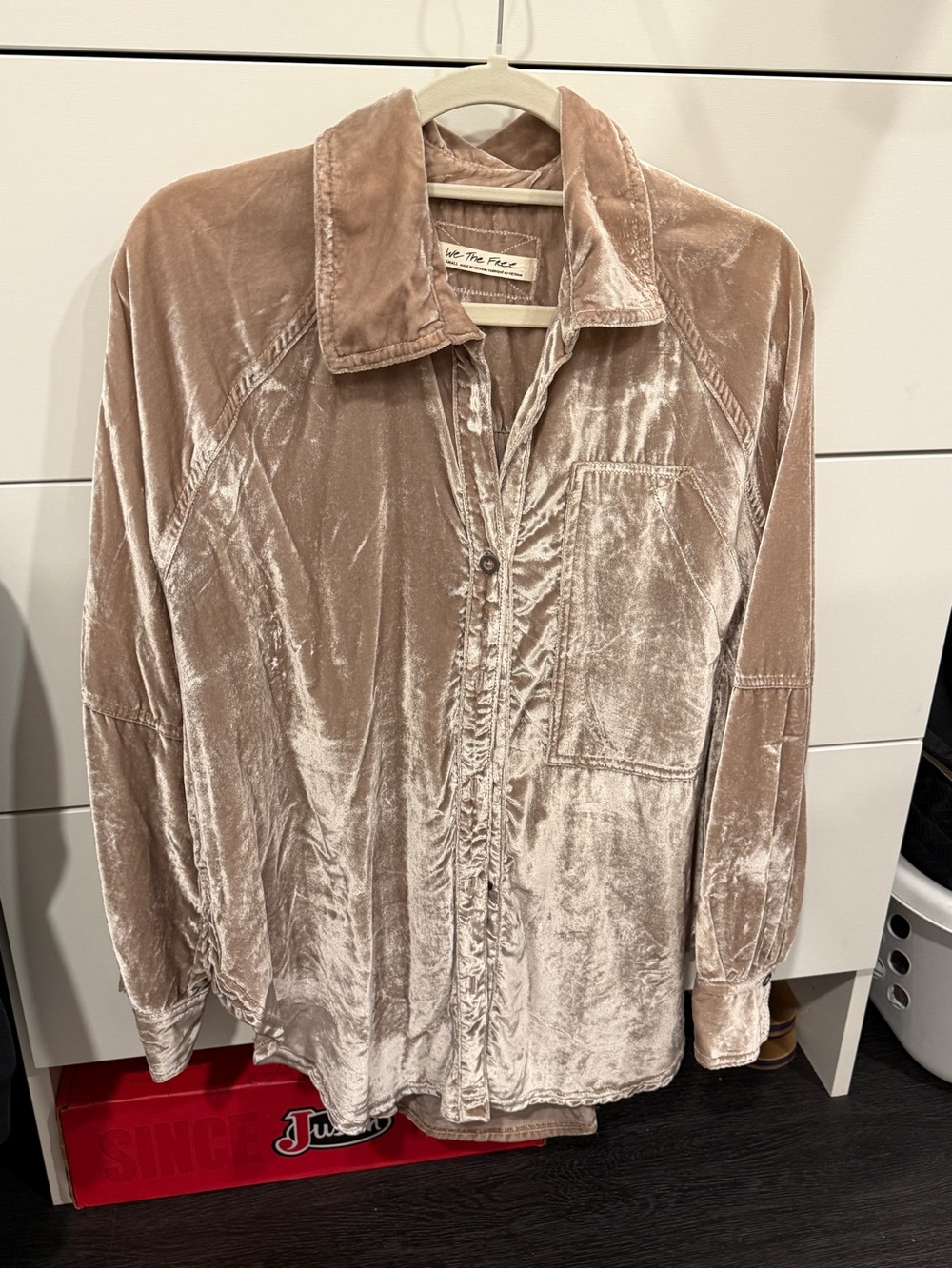 Free People Velvet Button-Down Shirt in Blush Taupe